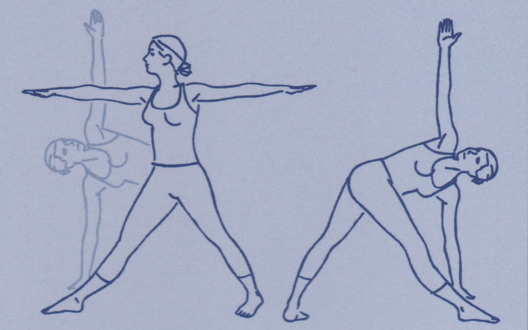 All Movement Counts as Exercise