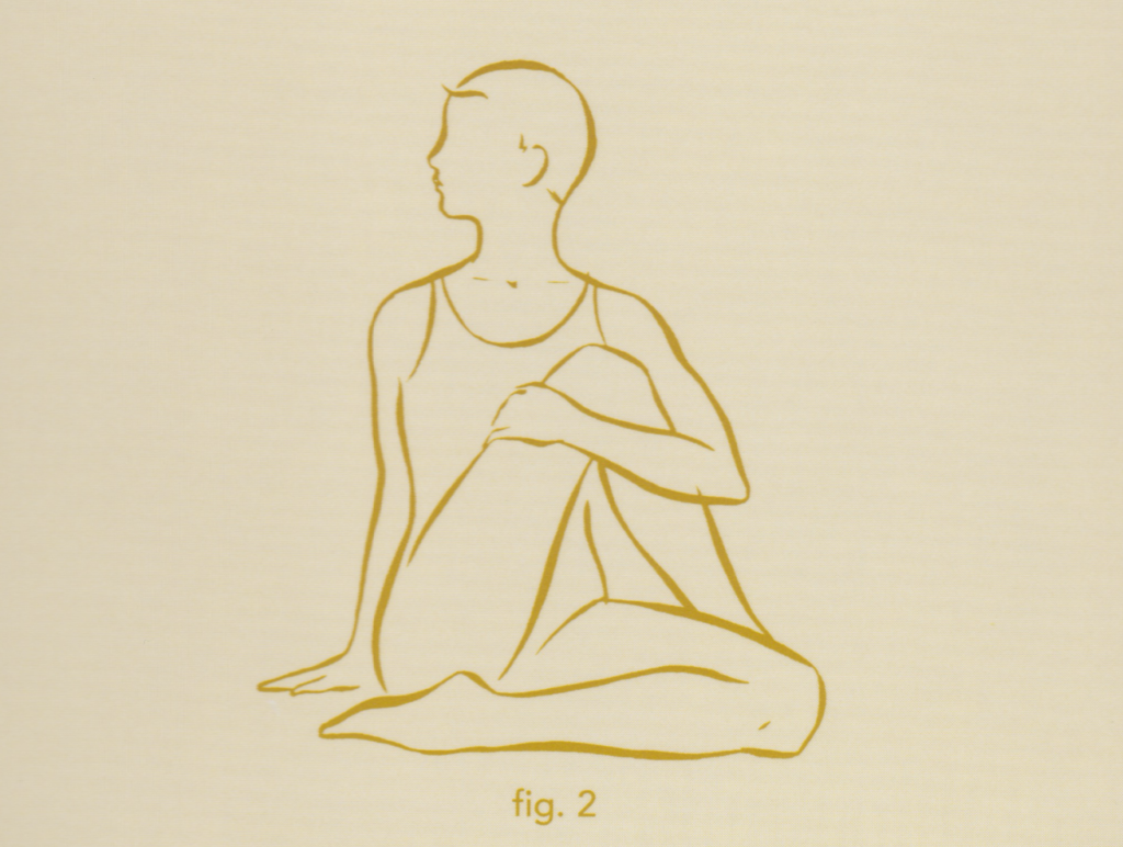 Yoga Deck Spinal Twist Figure Two