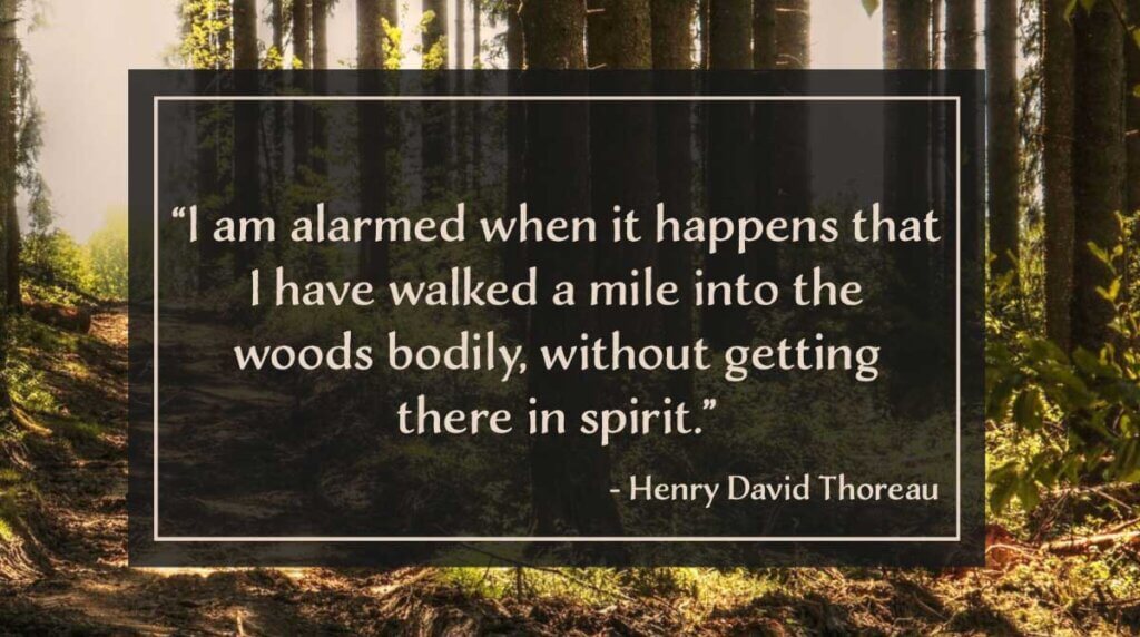 I am alarmed when it happens that I have walked a mile into the woods bodily, without getting there in spirit.